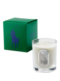 Ralph Lauren Woodland Pine candle 295g, imported from the UK