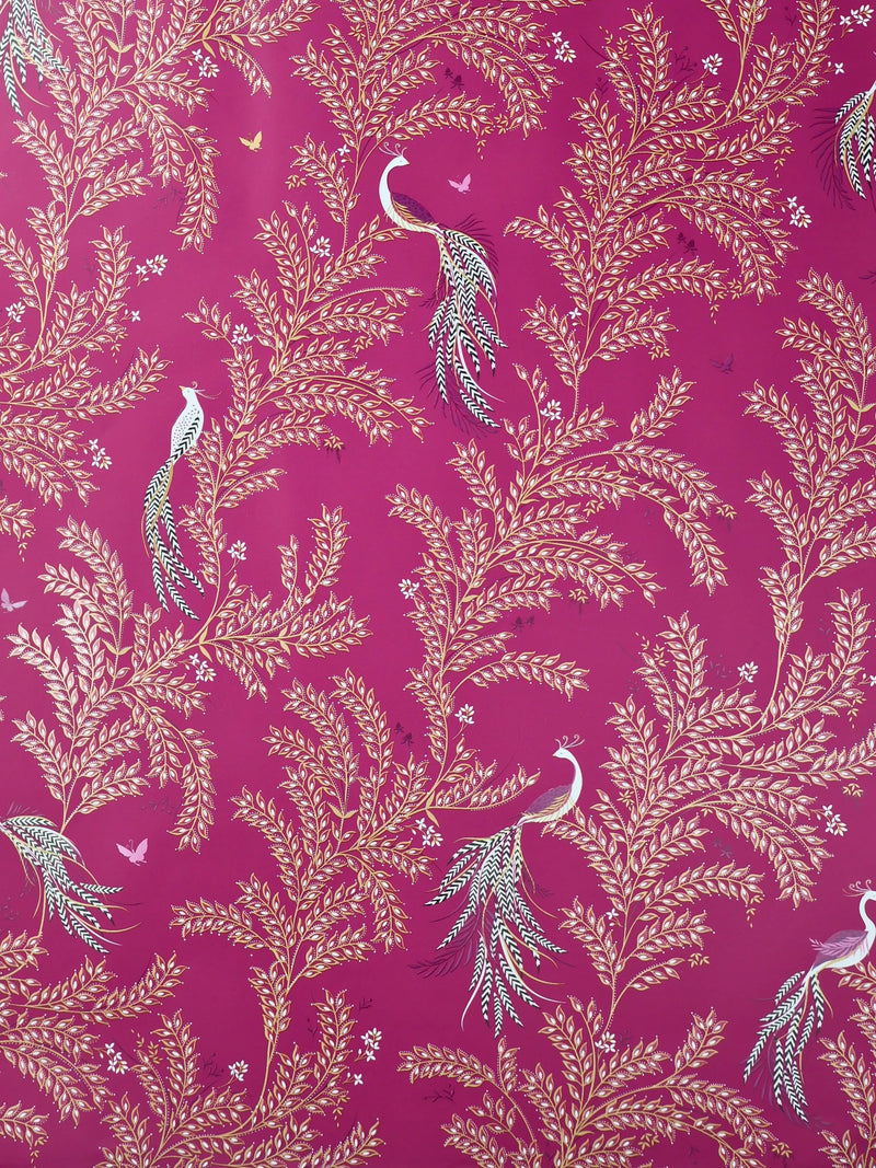 Sara Miller Elegant Bird wrapping paper pink 3m, imported from the UK