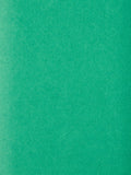 John Lewis dyed tissue paper pack of 5 green (British brand)