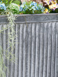 Pacific square zinc planters set of two sizes, UK version