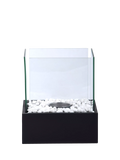 Fallen Fruits bioethanol garden fireplace black, imported from the UK