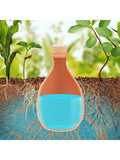Fallen Fruits terracotta olla pot with cork stopper, imported from the UK