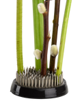 Fallen Fruits large flower arranging kenzan (British brand)