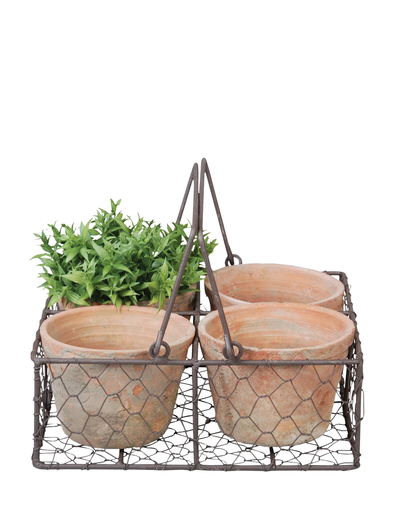 Fallen Fruits 4 terracotta plant pots in wire basket (British brand)
