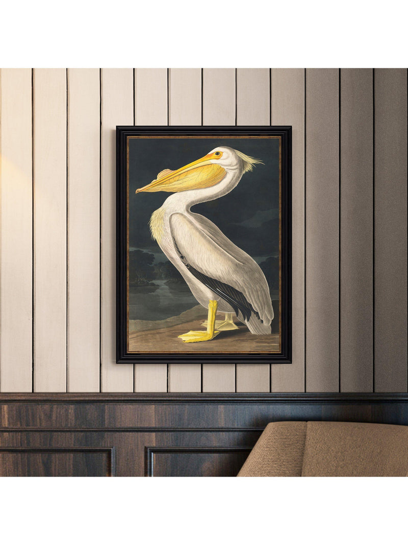 John Lewis White Pelican framed print 77x57cm (British brand)