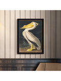 John Lewis White Pelican framed print 77x57cm (British brand)
