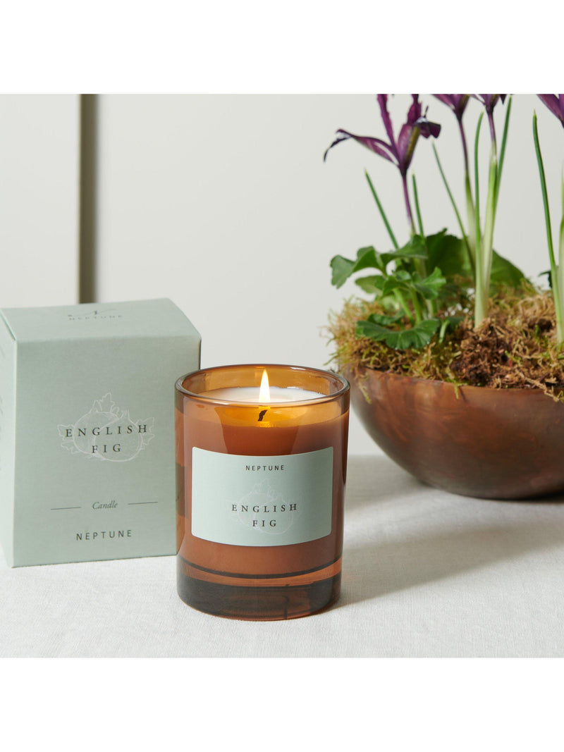 Neptune English Fig scented candle 560g - British product