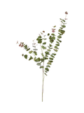Neptune artificial eucalyptus spray green russet 119cm - British product
