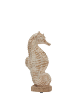 John Lewis Neptune Gosse Small Ornamental Terracotta Seahorse Natural, 31cm- Buy online at McGrocer