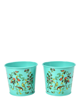 John Lewis Burgon & Ball RHS Flora & Fauna Herb Pots, Set of 2, Green/Multi- Buy online at McGrocer