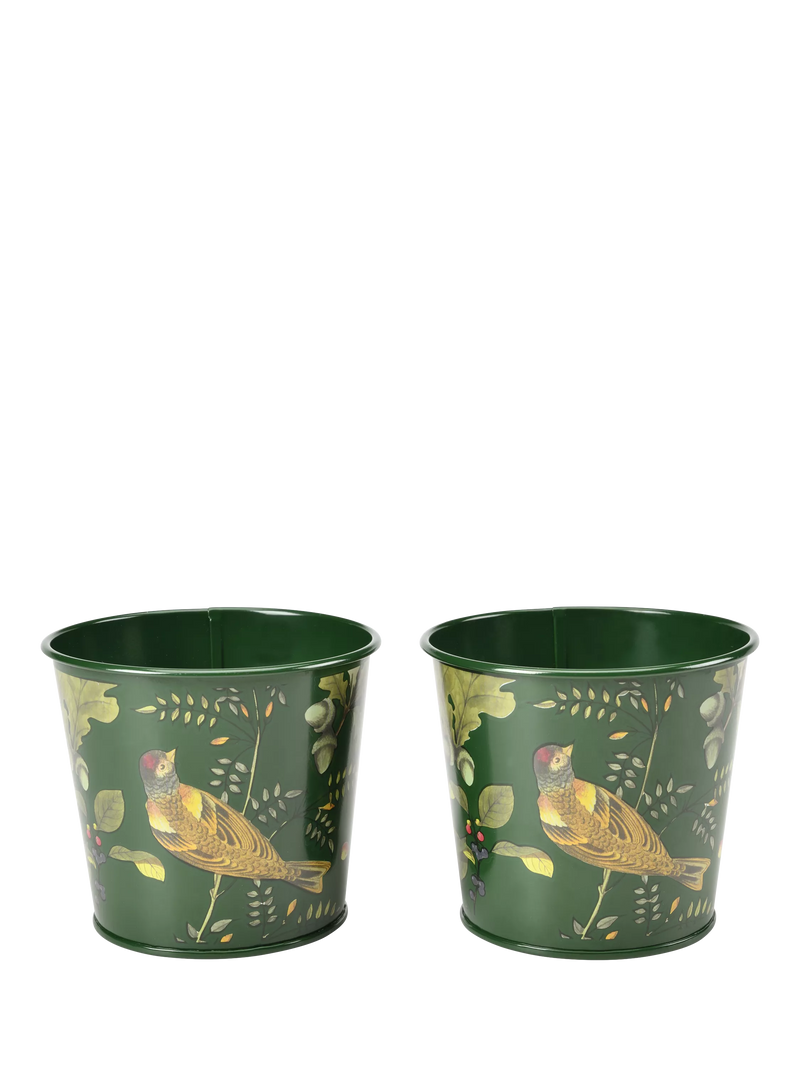 Burgon & Ball RHS Woodland Wonders herb pots set, UK version