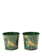 John Lewis Burgon & Ball RHS Woodland Wonders Herb Pots, Set of 2, Green/Multi- Buy online at McGrocer