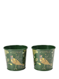 Burgon & Ball RHS Woodland Wonders herb pots set, UK version