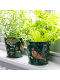 Burgon & Ball RHS Woodland Wonders herb pots set, UK version