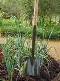 Burgon & Ball BoronGreen digging spade green, imported from the UK