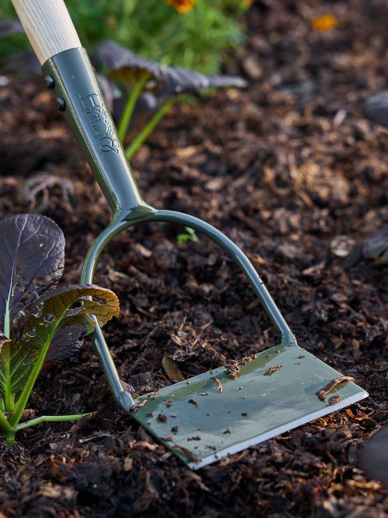Burgon & Ball green Dutch Hoe gardening tool, imported from the UK