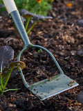 Burgon & Ball green Dutch Hoe gardening tool, imported from the UK