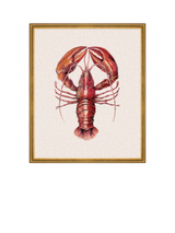 John Lewis Brookpace Lascelles Lobster Red Framed Canvas Print, 38 x 31cm- Buy online at McGrocer