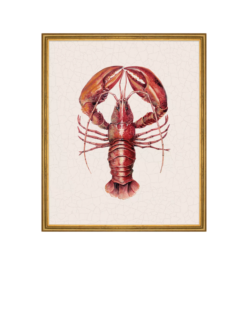 Brookpace Lascelles framed canvas print red lobster 38x31cm, imported from the UK