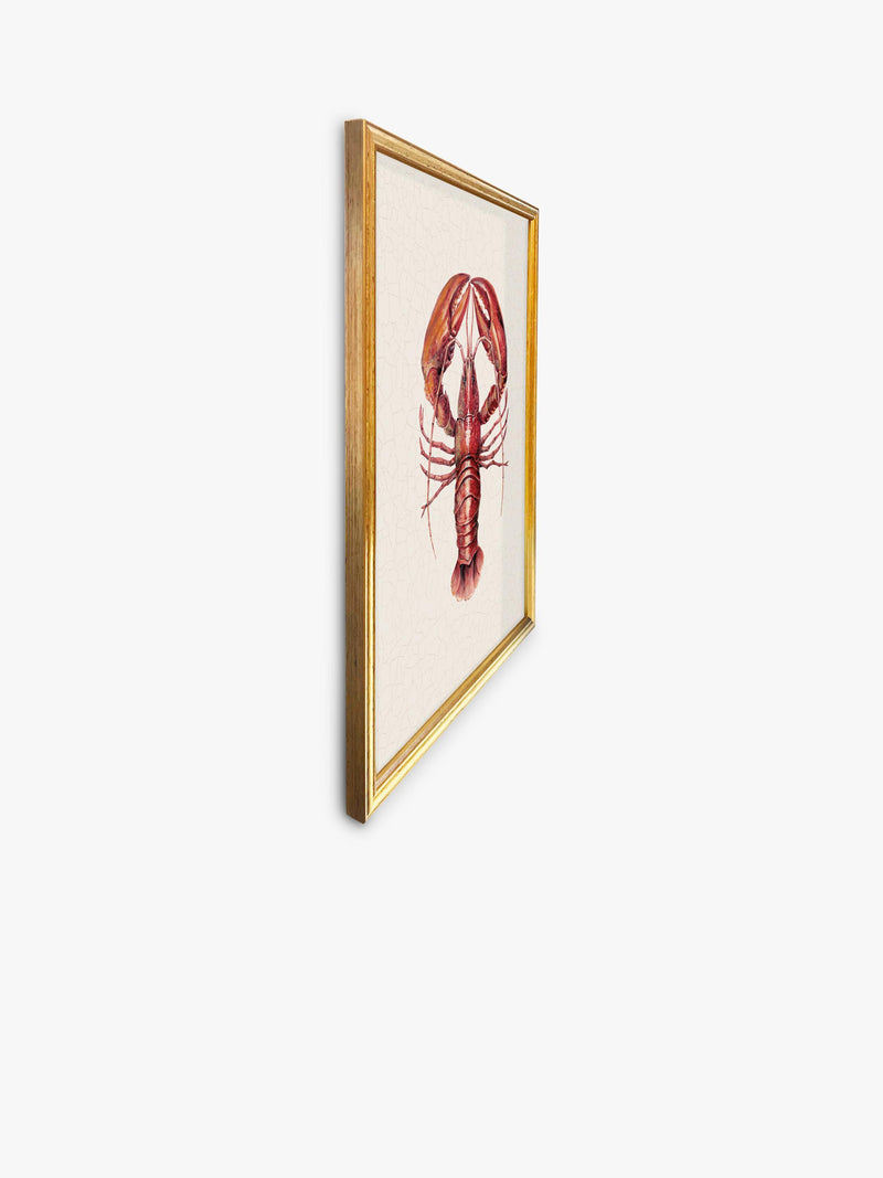 Brookpace Lascelles framed canvas print red lobster 38x31cm, imported from the UK