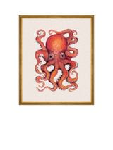 John Lewis Brookpace Lascelles Octopus Framed Canvas Print, Red, 38 x 31cm- Buy online at McGrocer