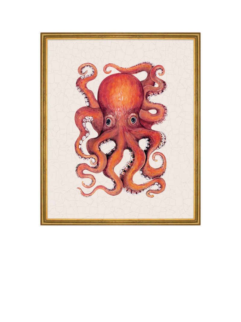 Brookpace Lascelles red octopus framed canvas print 38x31cm (British brand)