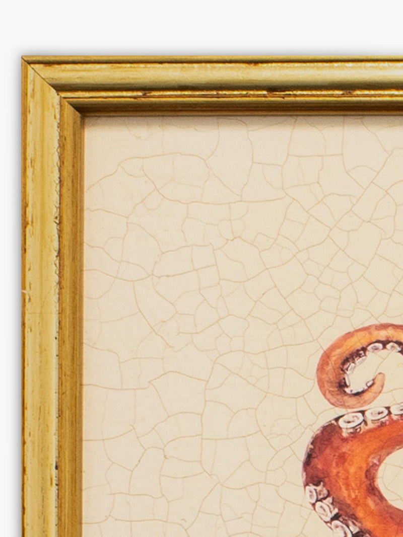 Brookpace Lascelles red octopus framed canvas print 38x31cm (British brand)