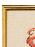 Brookpace Lascelles red octopus framed canvas print 38x31cm (British brand)