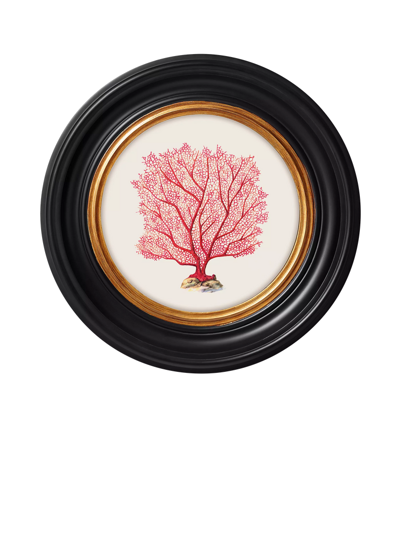Brookpace Lascelles sea flame round framed print 36cm - British product