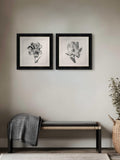 Brookpace Lascelles Tulip I framed print 59x49cm - British product