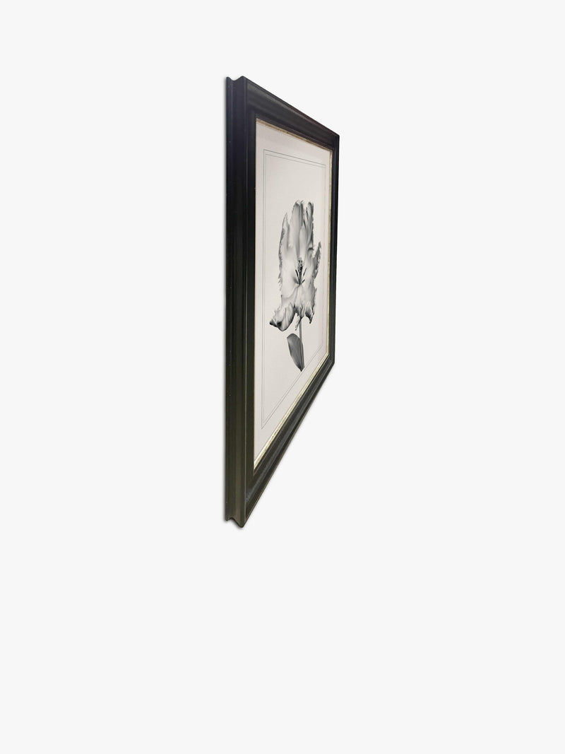 Brookpace Lascelles Tulip I framed print 59x49cm - British product