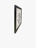 Brookpace Lascelles Tulip I framed print 59x49cm - British product