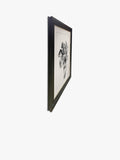 Brookpace Lascelles framed print Tulip II 59x49cm, imported from the UK