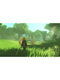 Nintendo Hyrule Warriors Age of Imprisonment Switch 2 game, UK version