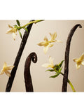Rituals Suede Vanilla home perfume 400ml, imported from the UK