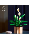 LEGO Botanicals Peace Lily building set 474 pieces - British product