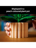 LEGO Botanicals Peace Lily building set 474 pieces - British product