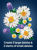 LEGO Botanicals Daisies artificial plant building set (British brand)