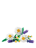 LEGO Botanicals Daisies artificial plant building set (British brand)