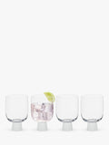 Anton Studio Designs old fashioned glass tumbler set frost 300ml (British brand)