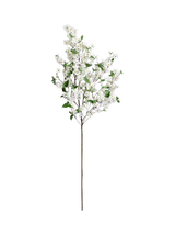 John Lewis Pottery Barn Blooming Dogwood Flowering Branch, H137cm- Buy online at McGrocer