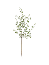 John Lewis Pottery Barn Mini Green Leaf Branch Artificial Leaf Branch 127cm- Buy online at McGrocer