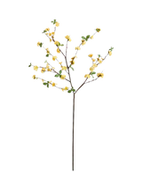 John Lewis Pottery Barn Quince Branch Artificial Flower Branch, H124cm- Buy online at McGrocer