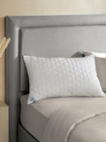 Sealy Deeply Full standard pillow pair (British brand)