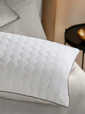 Sealy Deeply Full standard pillow pair (British brand)