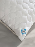 Sealy Deeply Full standard pillow pair (British brand)