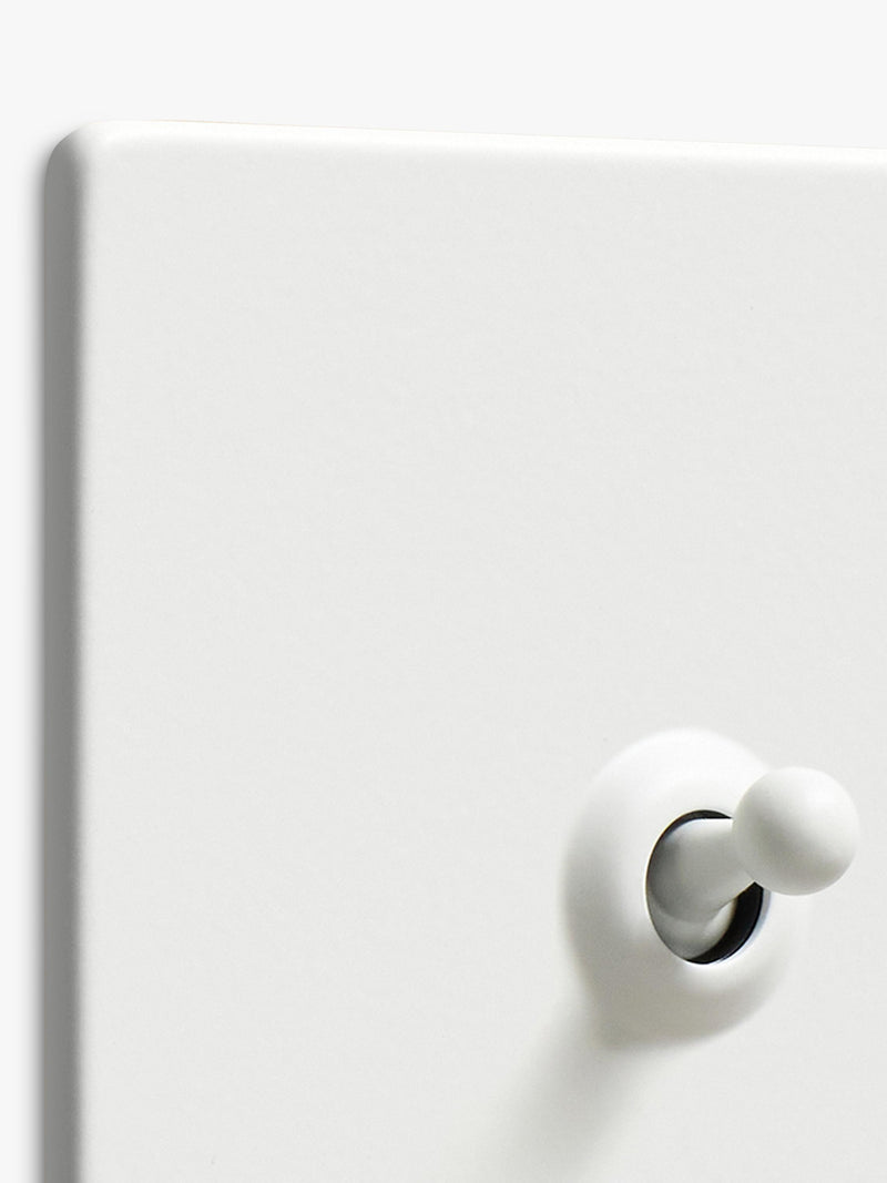 Dowsing & Reynolds soft white toggle switch (British brand)