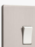 Dowsing & Reynolds soft silver single rocker switch, UK version