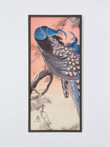 John Lewis John Lewis Ohara Koson 'Two Peacocks on a Tree Branch' Framed Canvas Print, 92 x 42cm, Blue/Multi- Buy online at McGrocer
