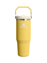 John Lewis Stanley IceFlow Flip Straw Stainless Steel Leak-Proof Tumbler Daffodil 890ml- Buy online at McGrocer